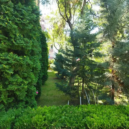 святая елена Apartment Sunny Beach