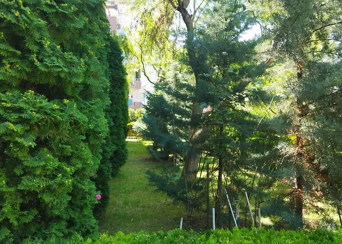 святая елена Apartment Sunny Beach