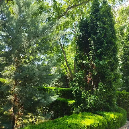 Apartment святая елена